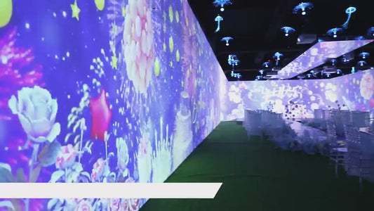 Immersive projection for wedding hall